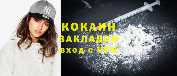 стафф Дмитров