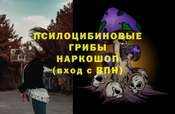 молекула духа Алексеевка